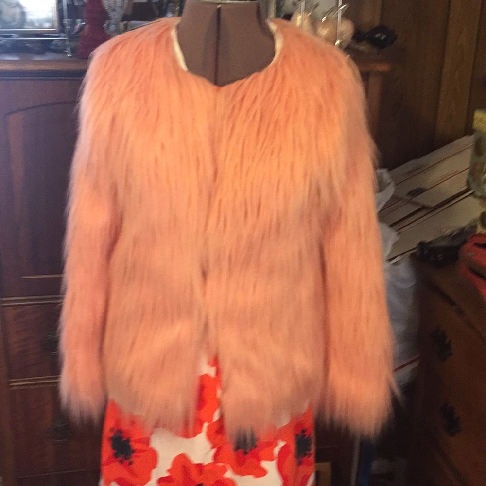 🧡Peach colored fur🧡
